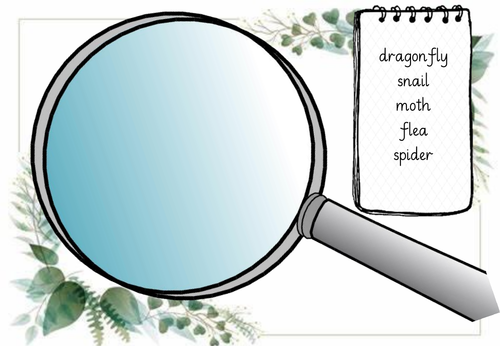Key Stage One Minibeast Phonics Continuous Provision | Teaching Resources