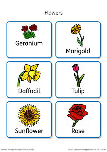 Horticulture/Gardening for Entry level/SEND: Symbol games | Teaching ...