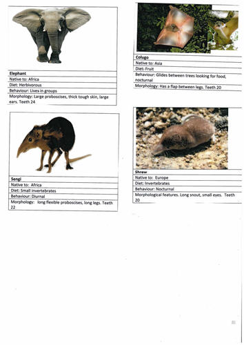 A-Level AQA Biology - Establishing Evolutionary Connections