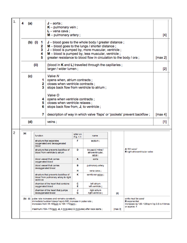 docx, 245.58 KB