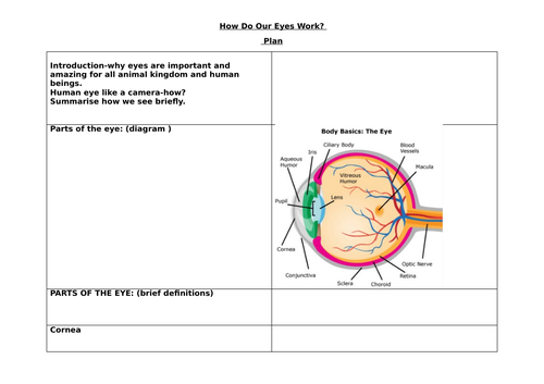 docx, 102.9 KB