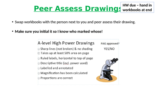 A-Level AQA Biology - Prokaryotic Cells and Viruses