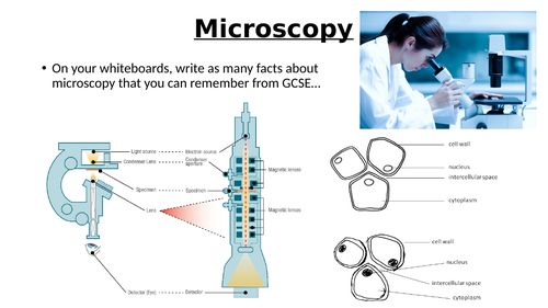 A-Level AQA Biology - Microscopy