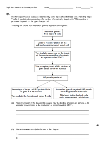 Aqa A Level Gene Expression Teaching Resources 1183