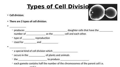 A-Level AQA Biology - Mitosis