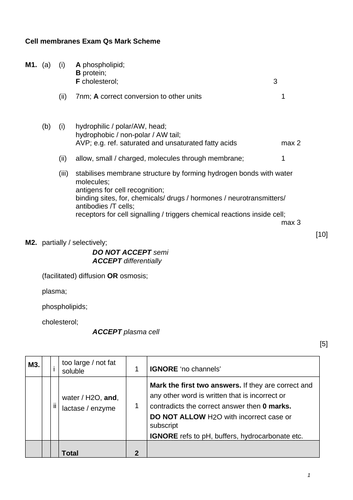 docx, 42.99 KB