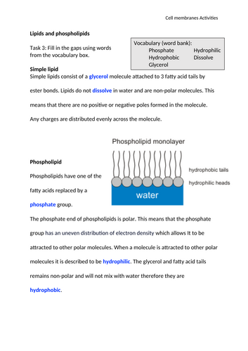 docx, 33.51 KB