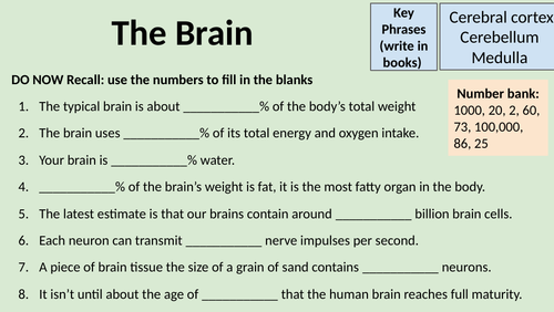 AQA GCSE Biology B5 The Brain | Teaching Resources