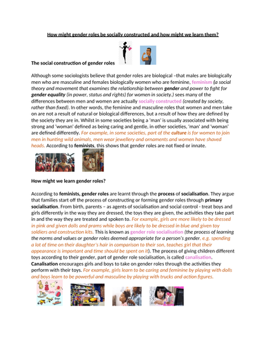 INTRODUCTION TO FEMINISM TOPICS visual data 3