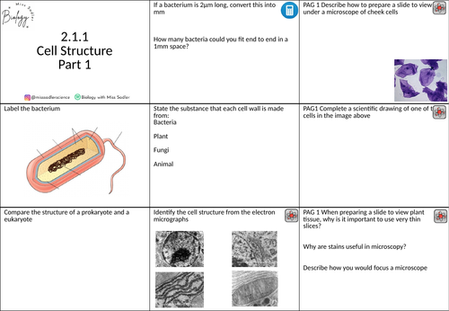 2.1.1 Cell structure revision grid OCR A level biology | Teaching Resources