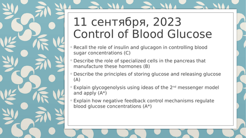 CIE 14.1 Homeostasis: Blood Glucose Regulation and 2nd Messenger Model ...
