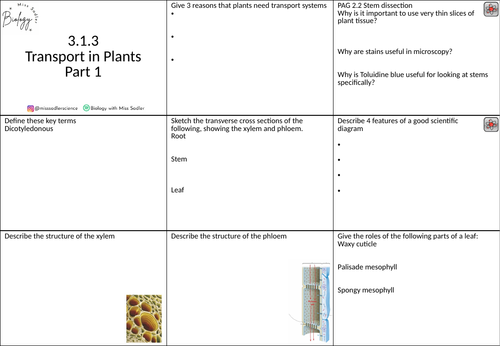3.1.3 Transport in Plants revision grid OCR A level Biology | Teaching ...