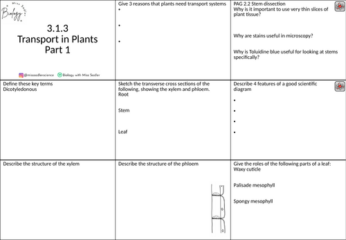 3.1.3 Transport in Plants revision grid OCR A level Biology | Teaching ...