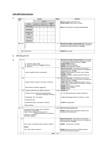 docx, 3.74 MB