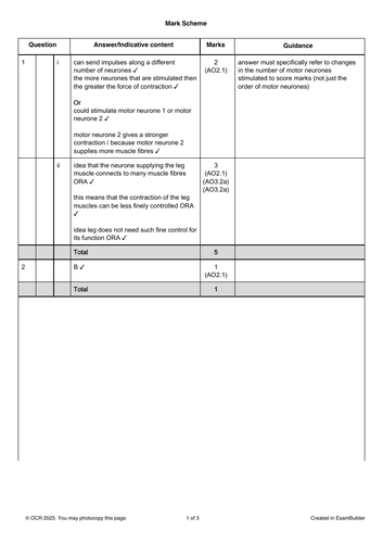 T level health/healthcare booklet nervous system | Teaching Resources