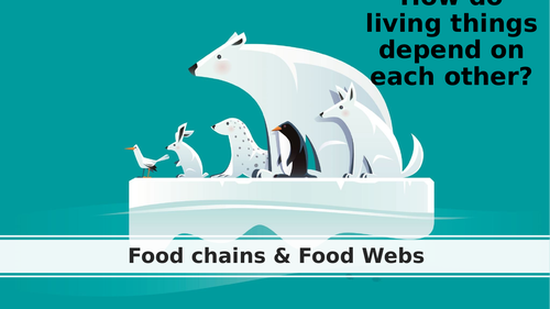 Food Chains and Food Webs PPT Biology Diagrams
