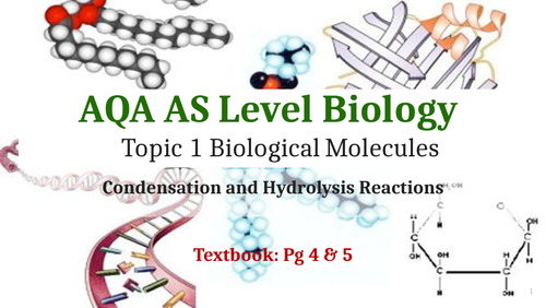 AQA Biology Unit 1 Biological Molecules (Complete set of PowerPoints)