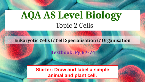 AQA Biology Unit 2 Cells (Complete set of PowerPoints)