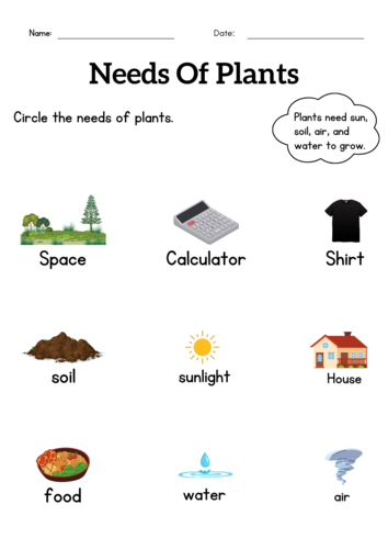 what-do-plants-need-to-grow-worksheet-kindergarten-twinkl