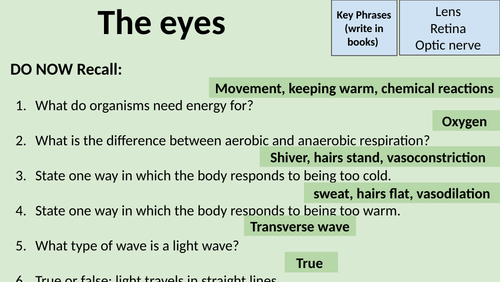 AQA GCSE Biology B5 The eyes + eye problems | Teaching Resources