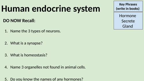 Aqa Gcse Biology B5 Hormonal Control Endocrine System Teaching