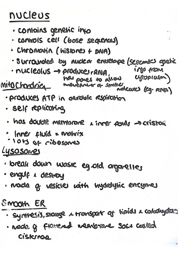 A Level Biology OCR Cells | Teaching Resources
