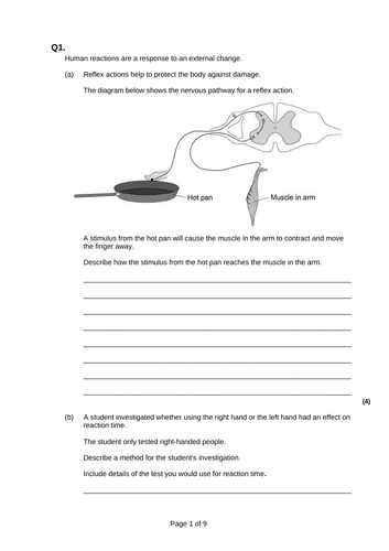 Ruler drop test practical lesson GCSE BIO | Teaching Resources