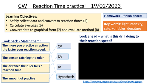 Ruler drop test practical lesson GCSE BIO | Teaching Resources