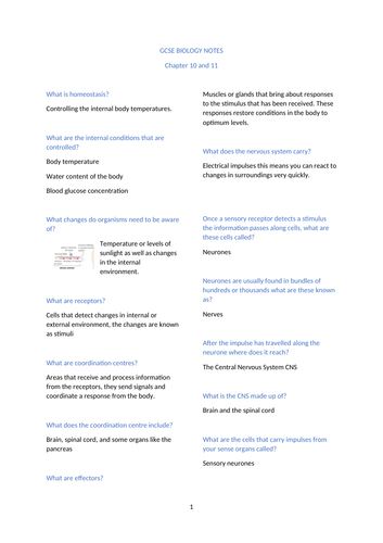 docx, 78.72 KB