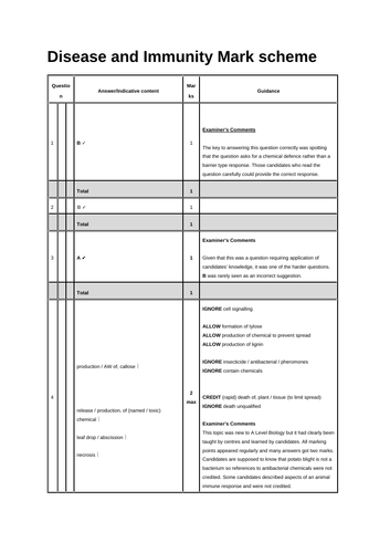 docx, 102.07 KB