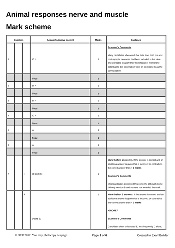 docx, 38.31 KB