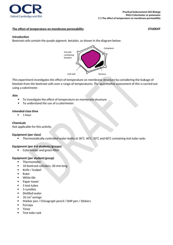 docx, 80.35 KB
