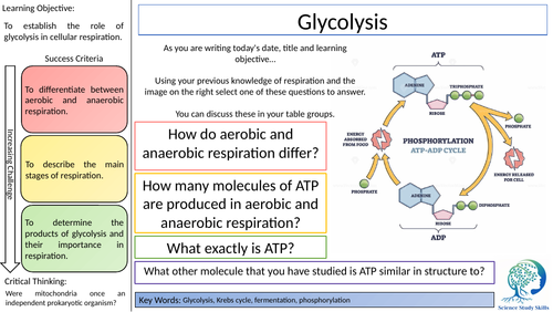 Glycolysis - Oxford AQA A Level Biology | Teaching Resources