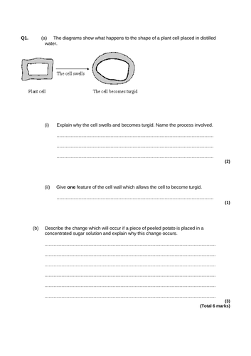 AQA GCSE Biology L10 Osmosis Required Practical | Teaching Resources