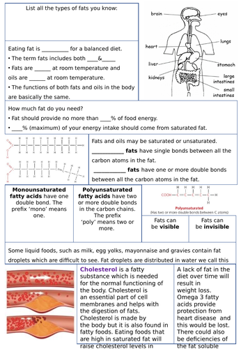 Gcse Food Aqa 8585 Macronutrients Teaching Resources 8909