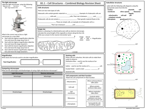 OCR Gateway GCSE Comb Science Biology B1 Revision Mat