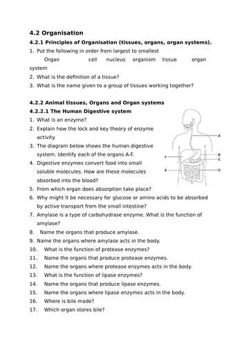 AQA Biology GCSE Paper 1 Revision | Teaching Resources