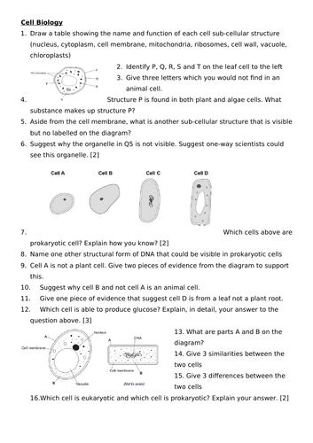 AQA Biology GCSE Paper 1 Revision | Teaching Resources