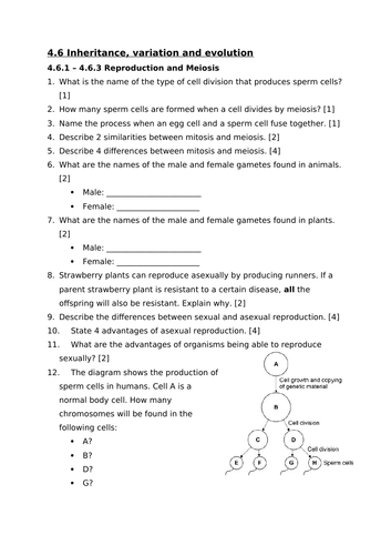 docx, 242.2 KB