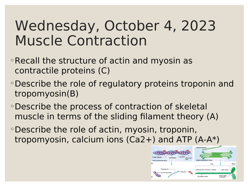 CIE 15.1 Muscle Contraction and Sliding Filament Theory | Teaching ...
