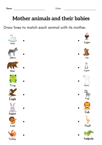 1st grade animal and babies worksheet - matching mother and baby animal ...