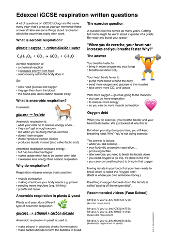 Edexcel Igcse Biology Respiration Worksheet And Written Question Revision Notes Teaching Resources 4385