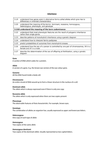 docx, 184.87 KB