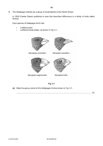 pdf, 358.66 KB