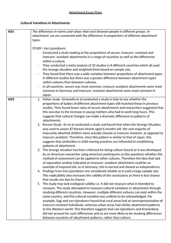 pmt attachment essay plans