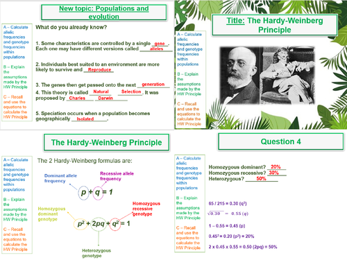 AQA A Level Biology (A2) - 18. Populations and Evolution - Topic bundle