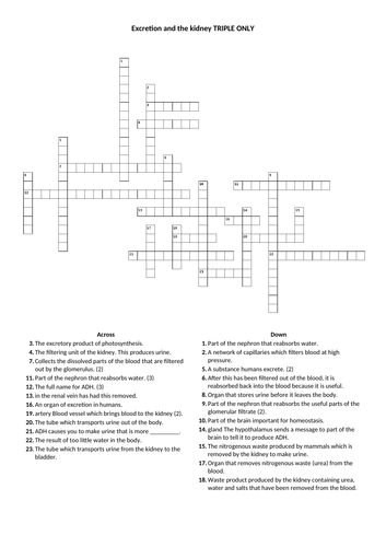Crossword and keyword definitions list: Excretion and the kidney TRIPLE