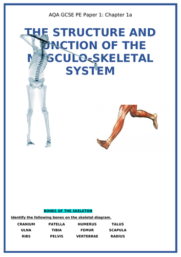 1a Musculo Skeletal System PPT and book. AQA GCSE PE | Teaching Resources
