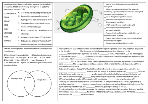 docx, 229.02 KB