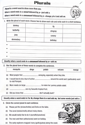 Key Stage 3 SPaG Plurals Lesson 2